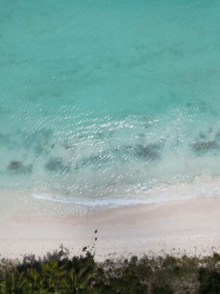 DOMINIKANA - Slika 6