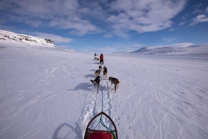 TROMSØ - Slika 5